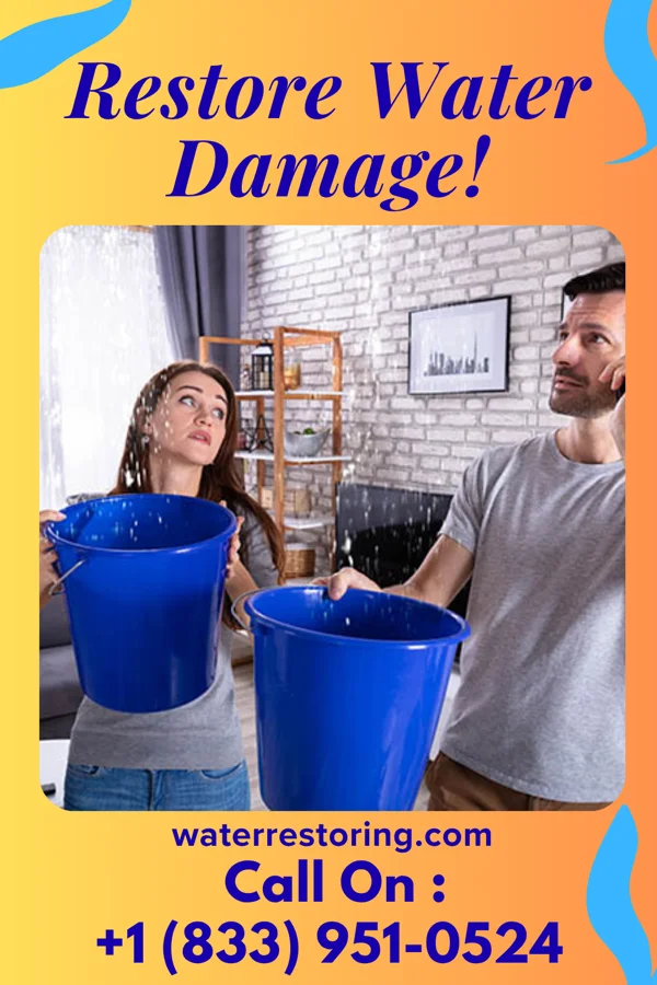 water restoration Coastal Disaster Cleanup Co Rochester