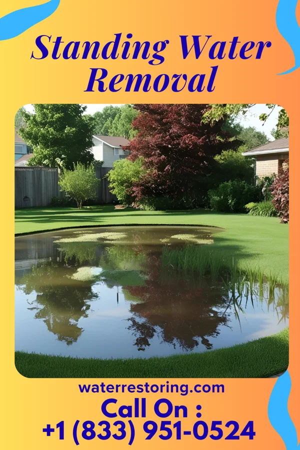 Standing Water Removal in Rochester, TX